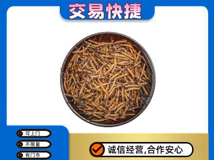 鄂州市鄂城回收散虫草